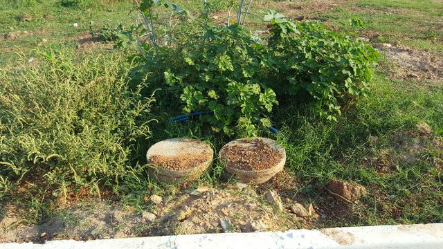 Terreno, Lote 10x20m² - Foto 3
