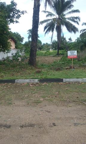 VENDE-SE TERENO EM BARRA GRANDE-Ilha de Itaparica - Foto 2