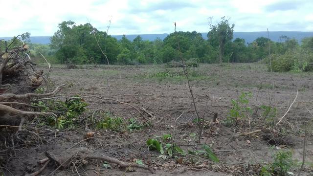 Culturao terra Preta agua por gravidade - Foto 8