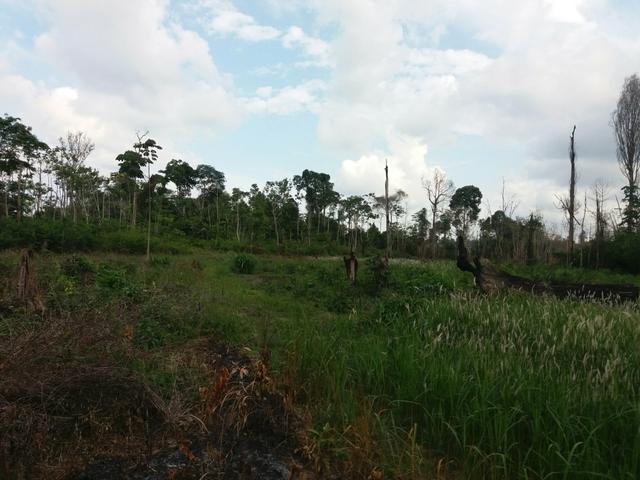 Terra de 10 alqueires 80% de mata água corta o meio