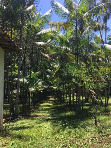 Sítio em Santa Bárbara - Foto 6