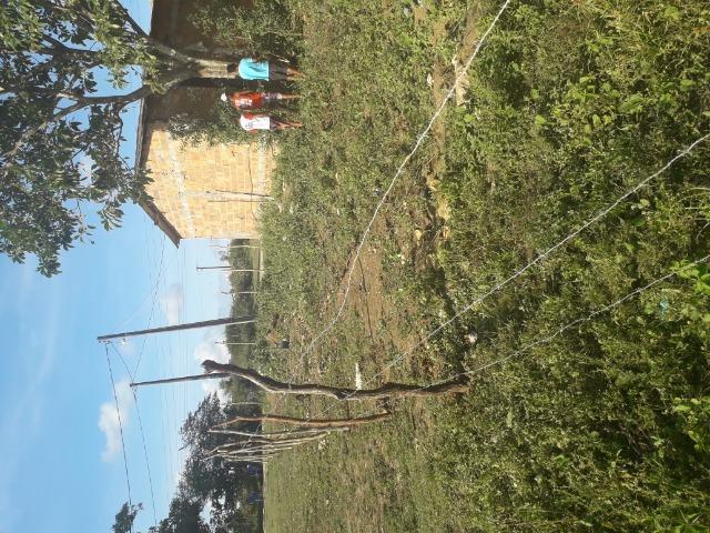 Terreno no Guajará - Foto 4