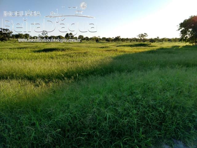 Fazenda Pecuaria 322 Hectares Plana - Foto 13