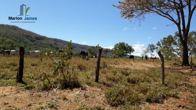 Fazenda em Cocalzinho-G! - Foto 9