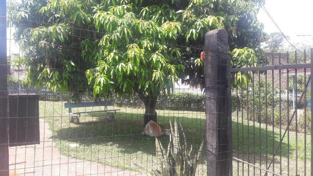 Vendo Terreno - Foto 2