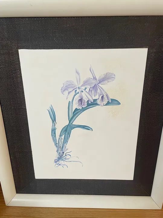 Quadro com Flor de Orquídea - Foto 5