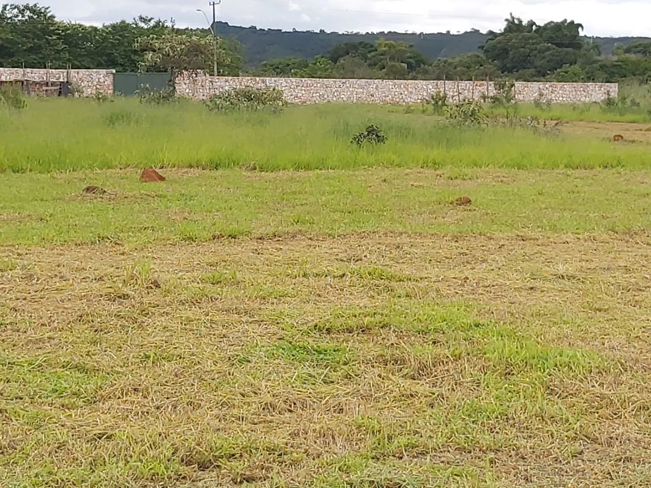 foto - Brasília - Setor Habitacional Jardim Botânico