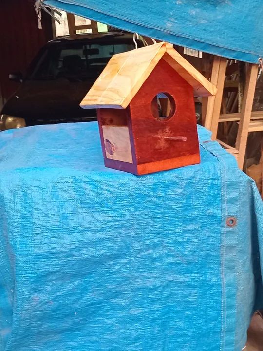 Casinha de passarinho de madeira - Foto 3