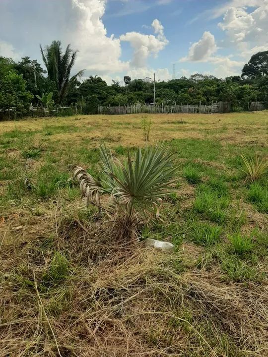 foto - Porto Velho - Agenor de Carvalho