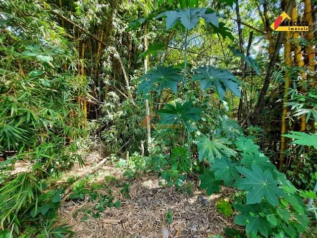 Lote à venda, Orion - Divinópolis/MG - Foto 4
