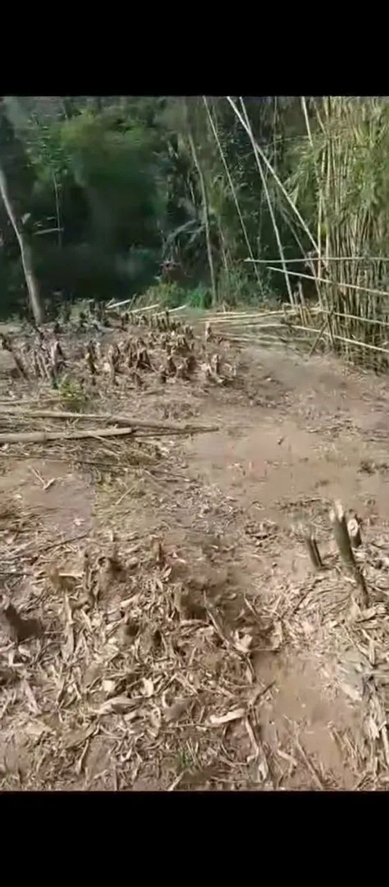 Foto - Mangaratiba - 