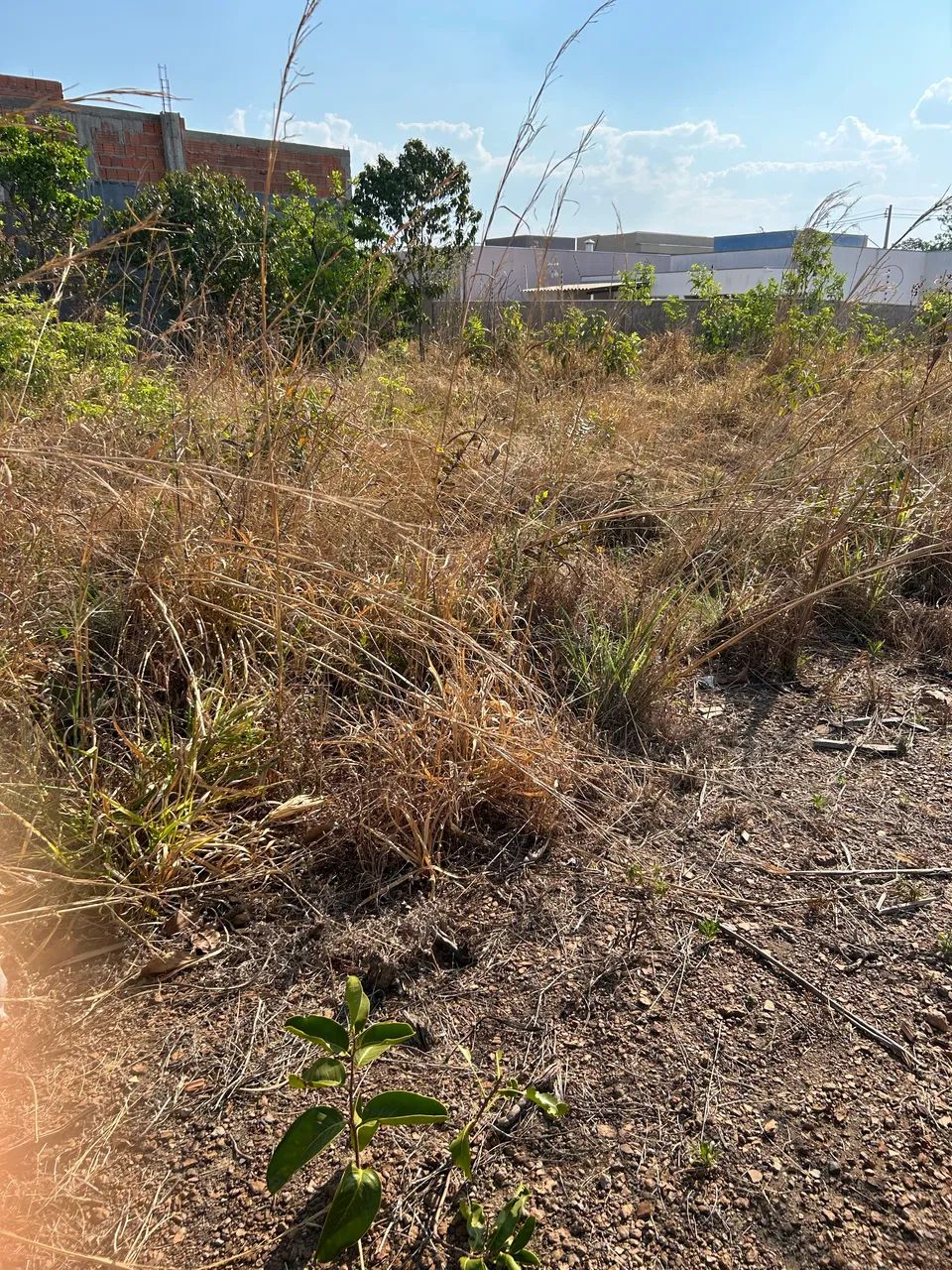 Terreno em Chapada - Foto 13