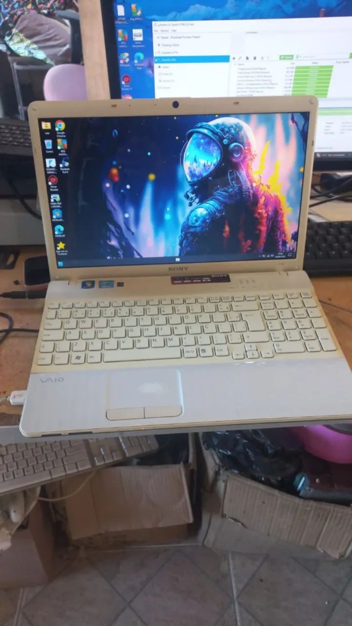 Notebook VAIO - Tela Vibrante 15 polegadas 