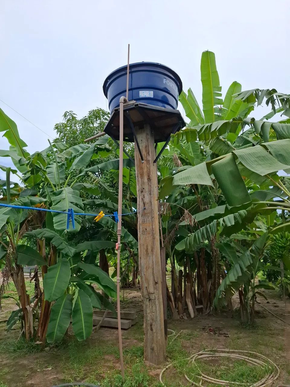  Vendo ou troco chácara 100X386m; área da vila Nova Esperança, Bonfim, há 52 km/Boa Vista. - Foto 10
