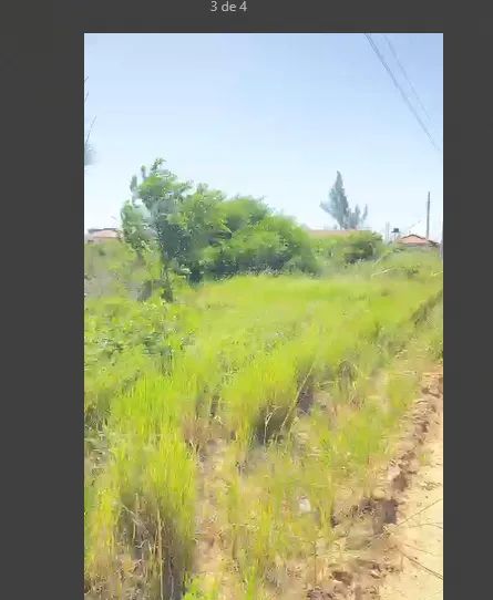 Lotes de esquina com 350m² e lotes com 300m² a 300 metros da praia de Dunas do Sul  - Foto 9