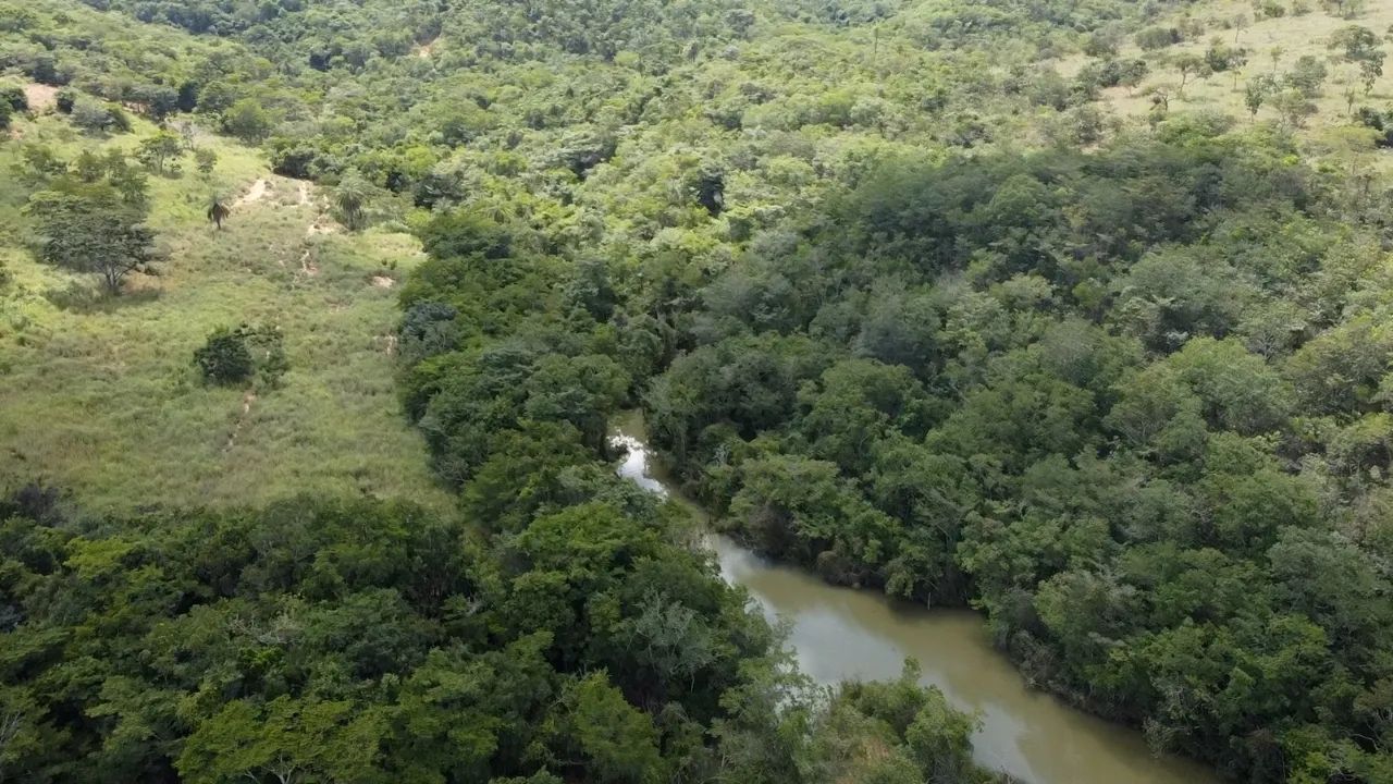 Maravilhosa fazenda 253 hectares rica Água - Foto 4