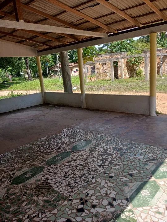 foto - Belém - Cutijuba