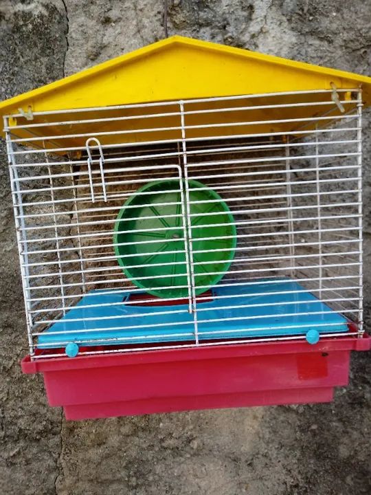 gaiola de hamister - Foto 2