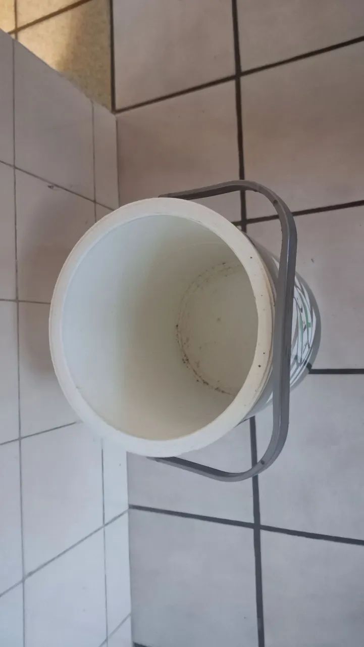 Cooler Térmico figueira - Foto 4