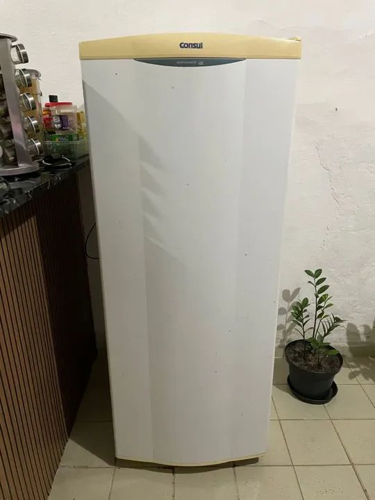Geladeira Consul 280 Litros - Foto 2