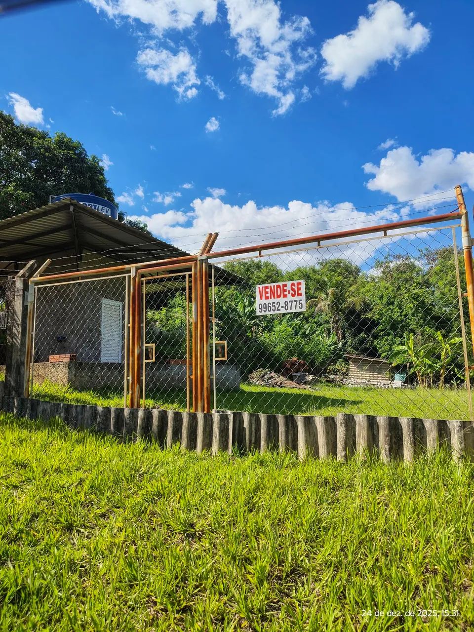 Foto - Álvares Machado - Parque dos Pinheiros