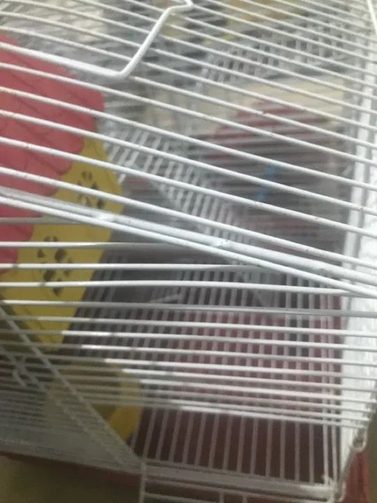 Gaiola para Roedores - Foto 5