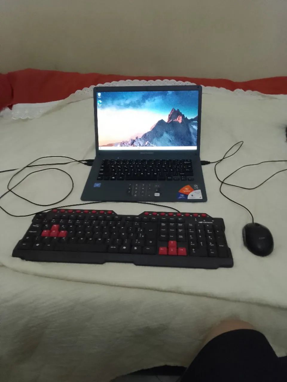 Multilaser Notebook with Used Gaming Keyboard and Mouse READ64312419592833120