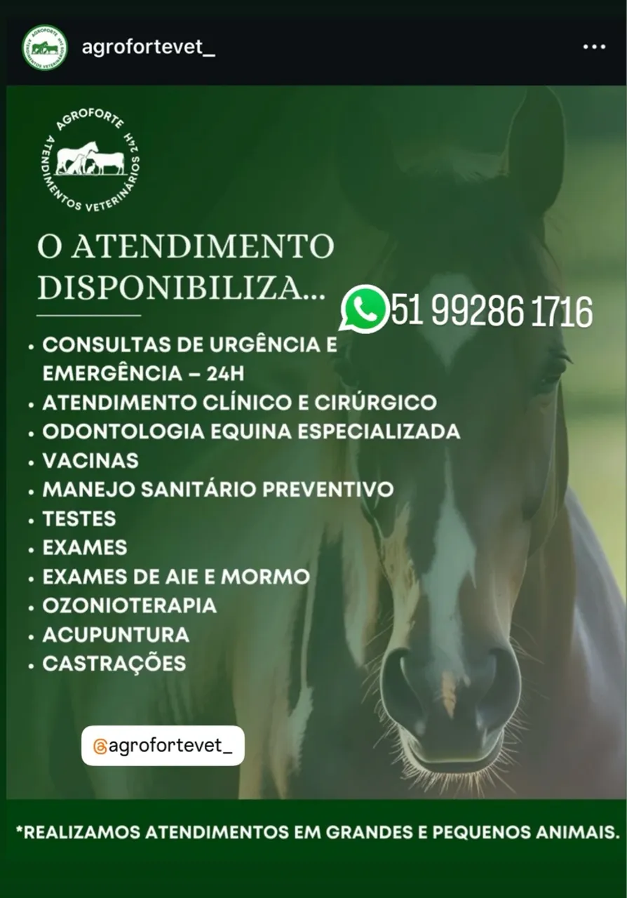Atendimento Veterinário 