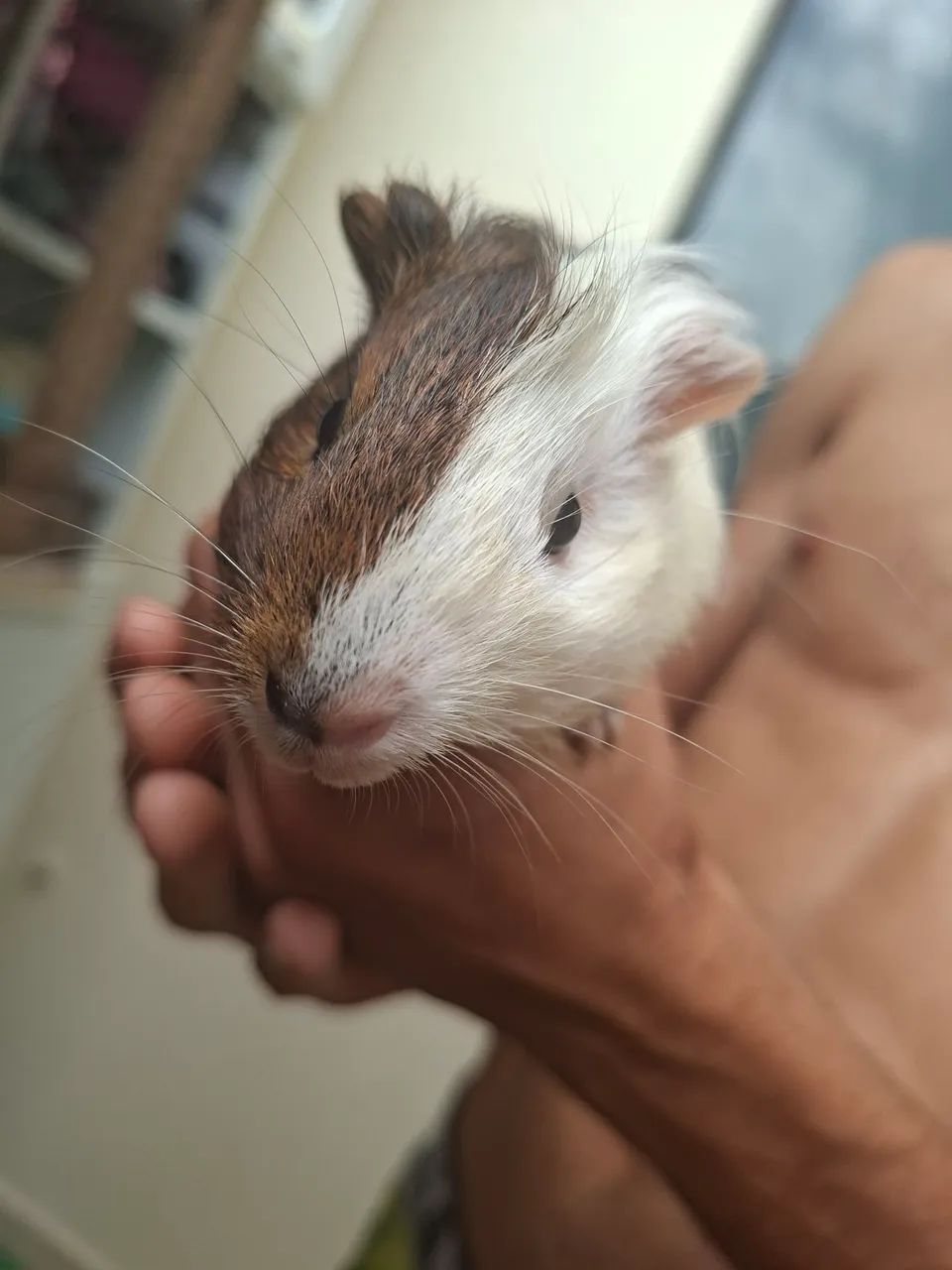 Doação  - Foto 3