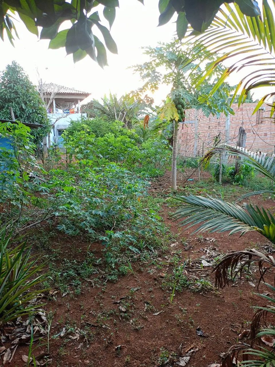 Vende-se lote  - Foto 5