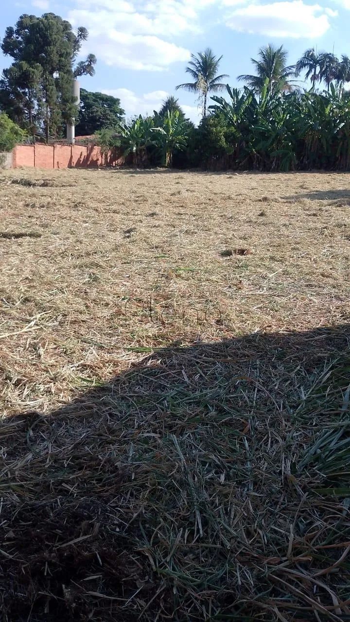 Terreno à venda em Campinas, Parque Taquaral, com 5116 m² - Foto 2