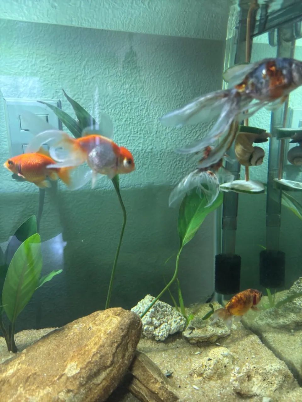 Aquário 130L completo + móvel + luminária | Excelente estado - Foto 4