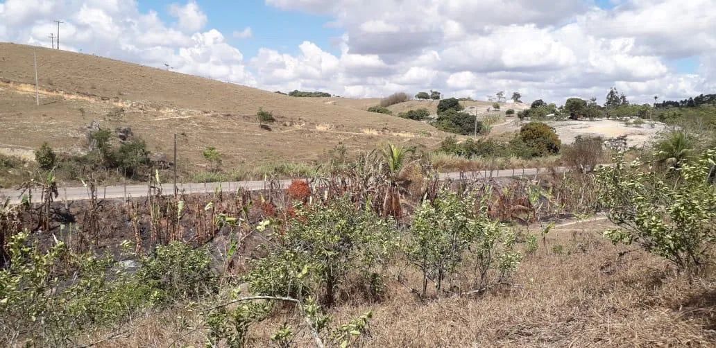 Sítio em Vitória - PE - Foto 4