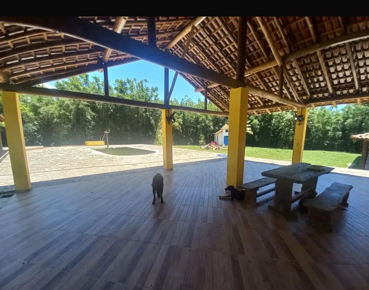 Fazenda Completa 18 Alqueires - Produtiva e Pronta Para Renda - Foto 4