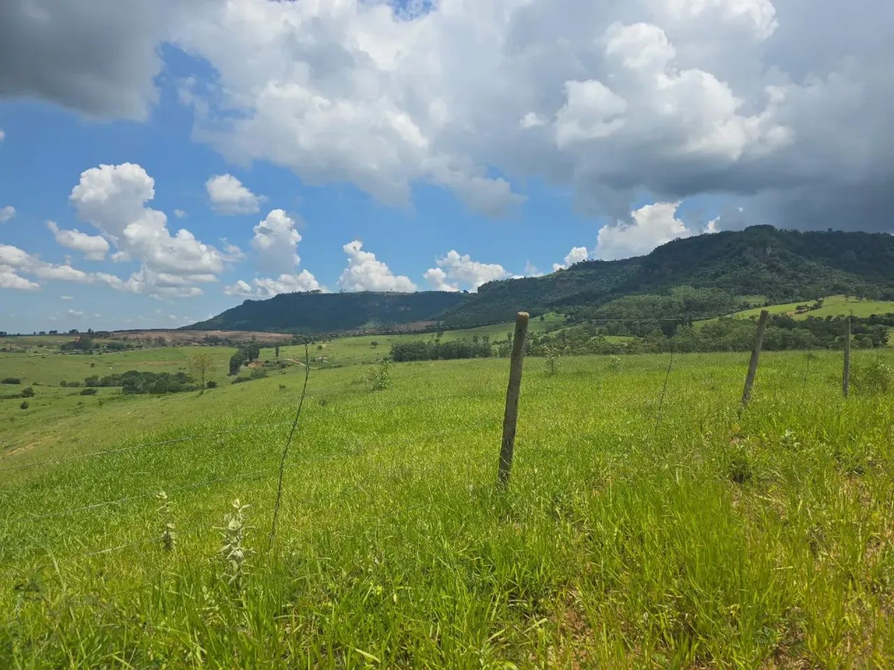 Fazenda á venda Piracicaba SP - Foto 5