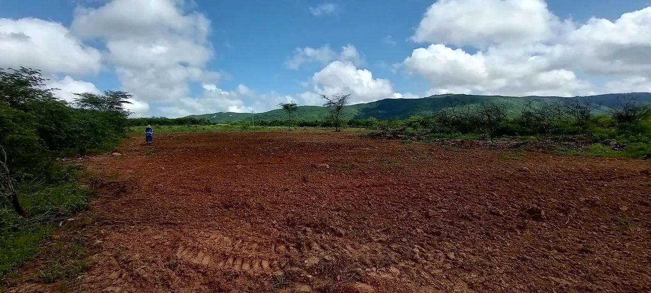 vendo propriedade margem de BR - Foto 2