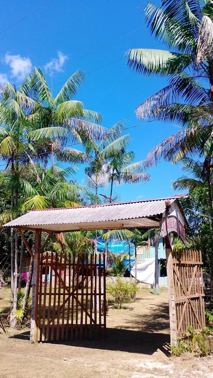 Vendo Sítio na AM-010 - KM 134