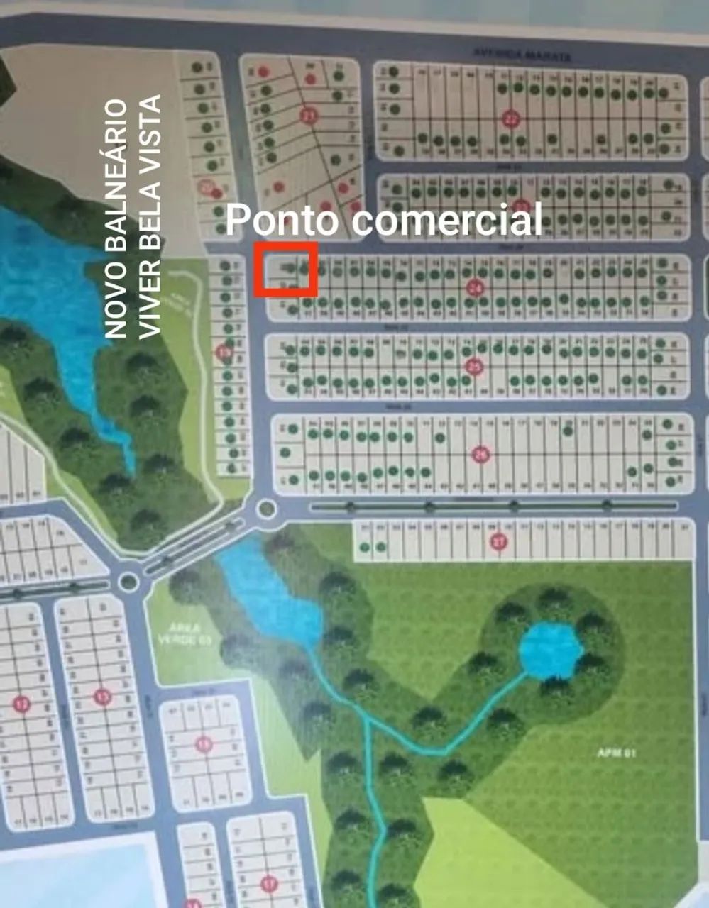 LOTE COMERCIAL - Foto 2