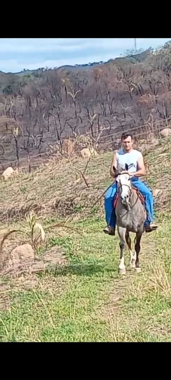 Égua  - Foto 2