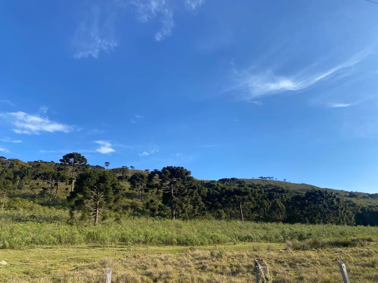 Fazenda em Urubici - 131 hectares  - Foto 10