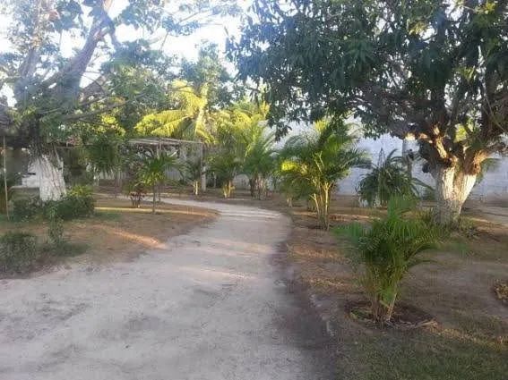 Sítio 4.800 m² no Eusébio | 7 Quartos | Toda Avarandada | Piscina | Campo | Pomar   - Foto 10