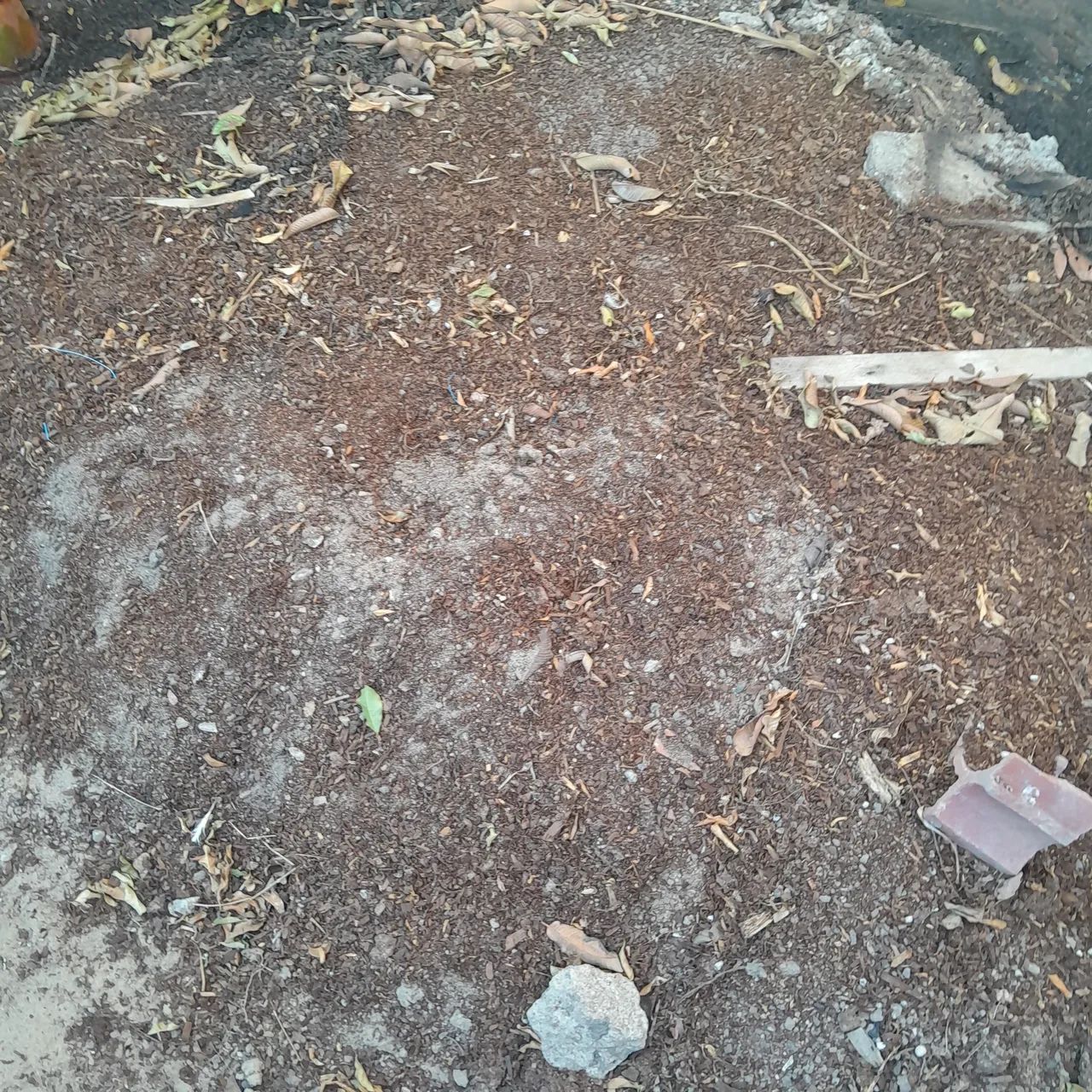 Ateliê JA  - Foto 4