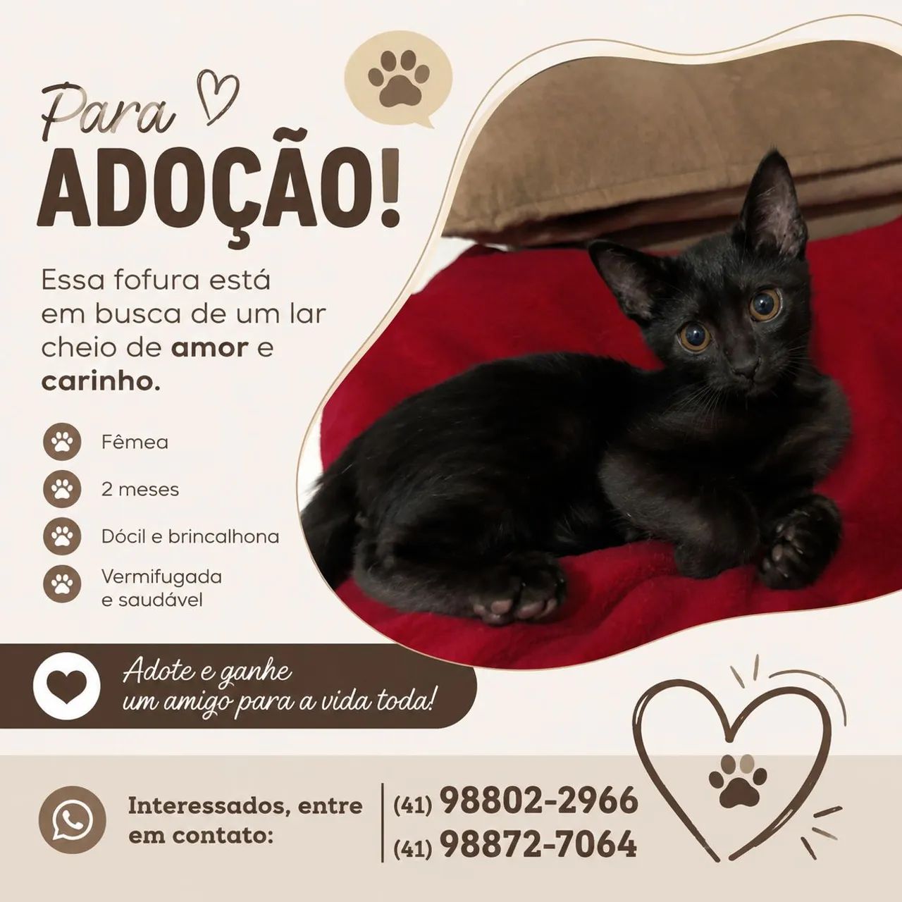 Doação 