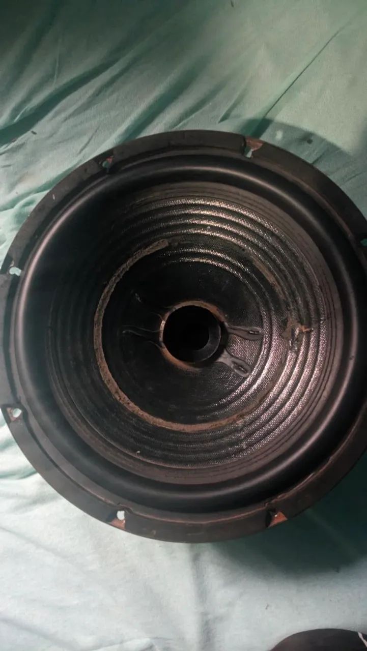 Alto-falante de 12 polegadas com duas bobinas