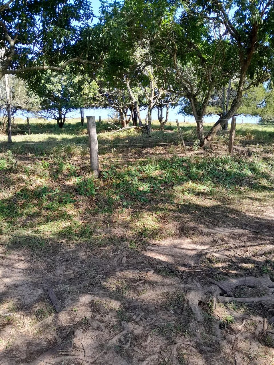 Sitio a venda em piracicaba aceita permuta - Foto 5