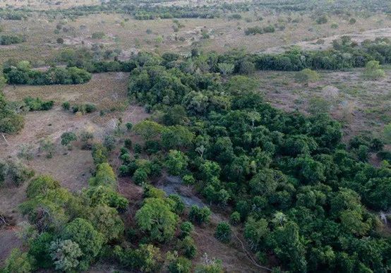 Imóvel rural no Tres Barreiras em Araguaçu - Foto 4