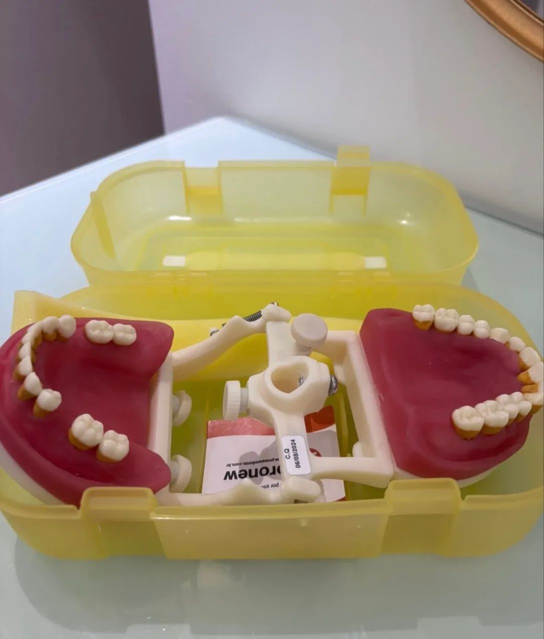Manequim Periodontia Pronew - Foto 2
