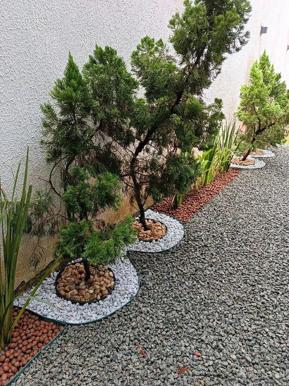 Jardineiro  - Foto 2