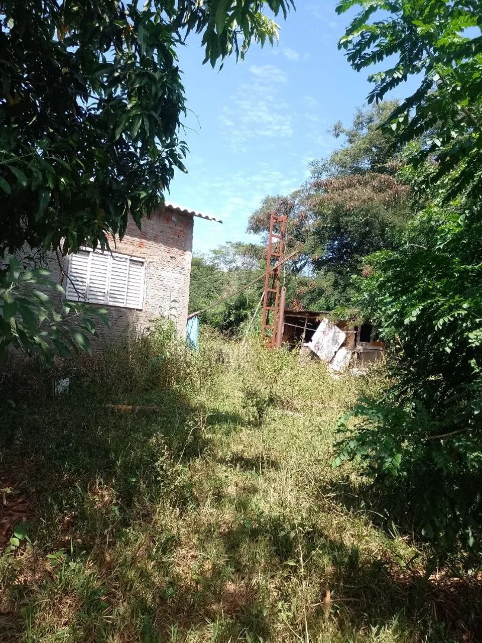 Vendo chácara  - Foto 5