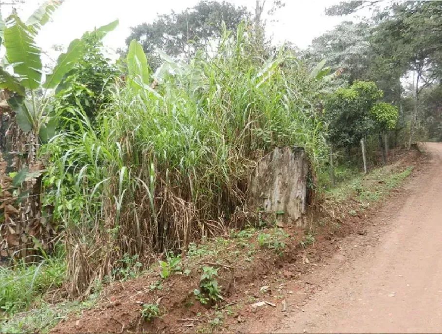 Lote/Terreno para venda com 17332 metros quadrados em Jardim Vargem Grande - Itapevi - São - Foto 5